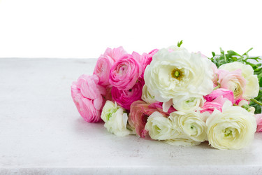 Similar image 11912312