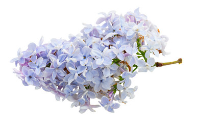 Similar image 11912490