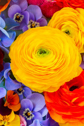 Similar image 11912751