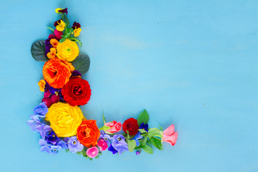 Similar image 11913055