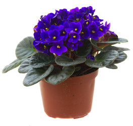 Similar image 11913019