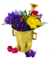 Similar image 11913109