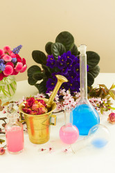 Similar image 11913110