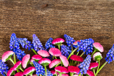 Similar image 11913056