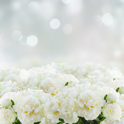 Similar image 11913429