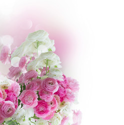 Similar image 11913245