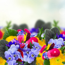 Similar image 11912961