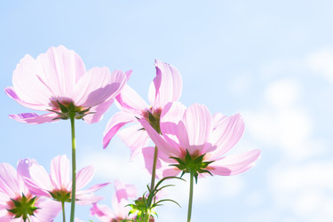 Similar image 11913016