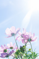 Similar image 11913017