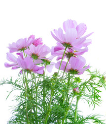 Similar image 11913431