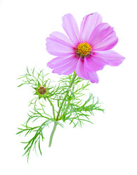 Similar image 11913432