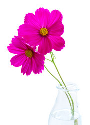 Similar image 11913433