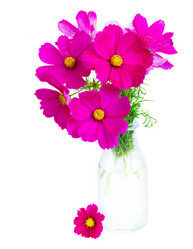 Similar image 11913960