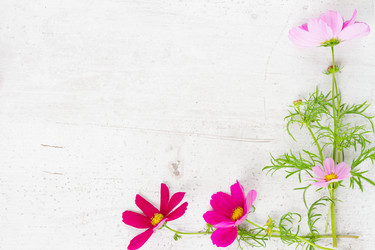 Similar image 11913961