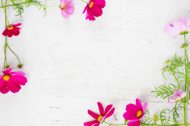 Similar image 11914001