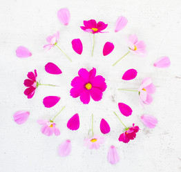 Similar image 11911778