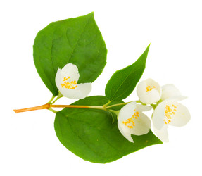 Similar image 11911823