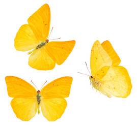 Similar image 11911879