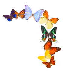 Similar image 11911898