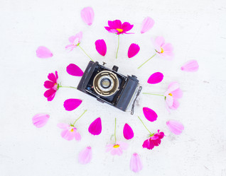 Similar image 11912473