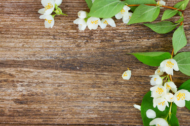 Similar image 11912519