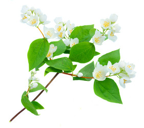 Similar image 11912532