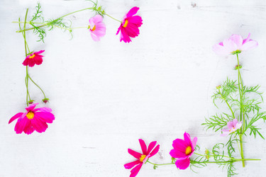 Similar image 11912533