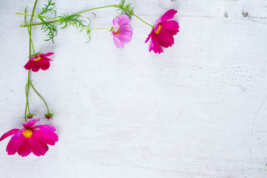 Similar image 11912534