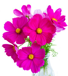 Similar image 11912754