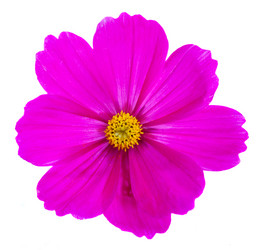 Similar image 11912812