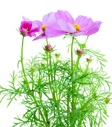 Similar image 11912829