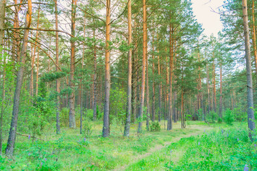 Similar image 11911826