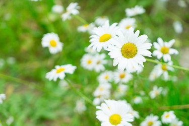 Similar image 11912315