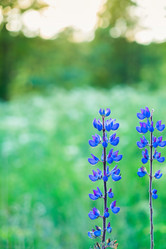 Similar image 11912495