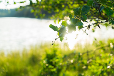 Similar image 11912535