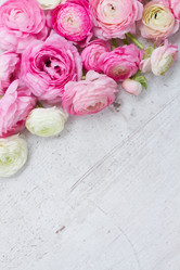 Similar image 11913434