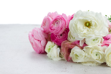 Similar image 11911858