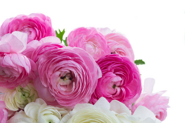 Similar image 11912316