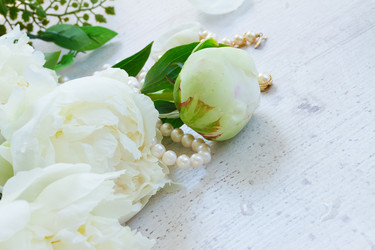 Similar image 11912476