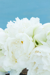 Similar image 11912755