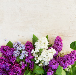 Similar image 11912814