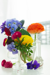 Similar image 11912281