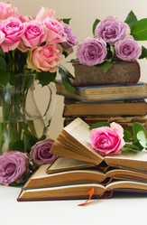 Similar image 11912256