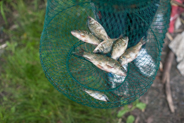 Similar image 11890835