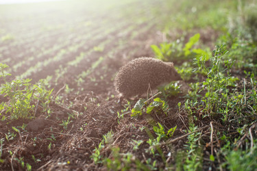 Similar image 11891045