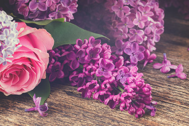 Similar image 11912999