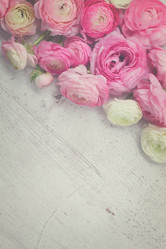 Similar image 11913226