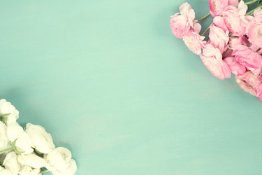 Similar image 11913228