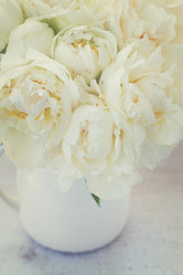 Similar image 11913945