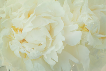 Similar image 11913946